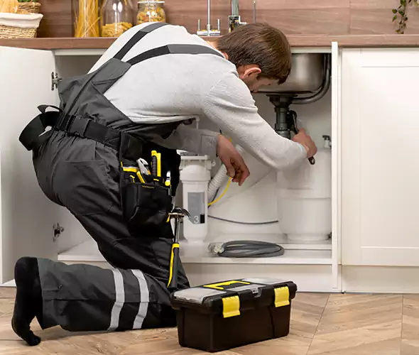 Certified Plumbers for Insinkerator Installation in Selden