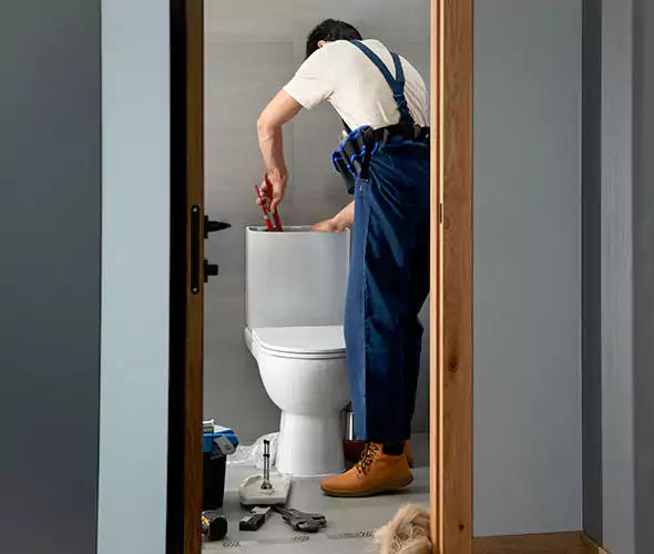 Professional Plumbers for Toilet Bowl Replacement in Selden, NY: Schedule Affordable Toilet Replacement Services With Us