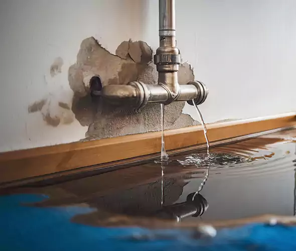 Professional Water Damage Restoration Experts in Selden, NY — Fast, Reliable & Certified