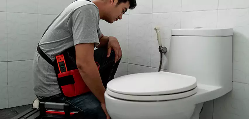 Toilet Repair in Selden