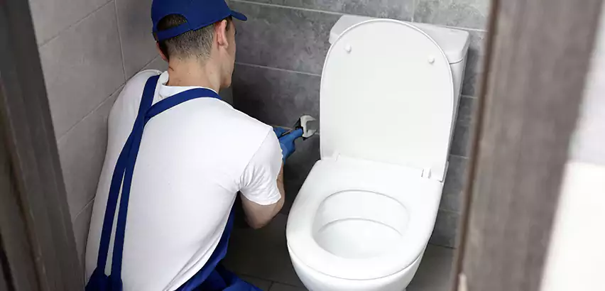 Toilet Lid Replacement in Selden